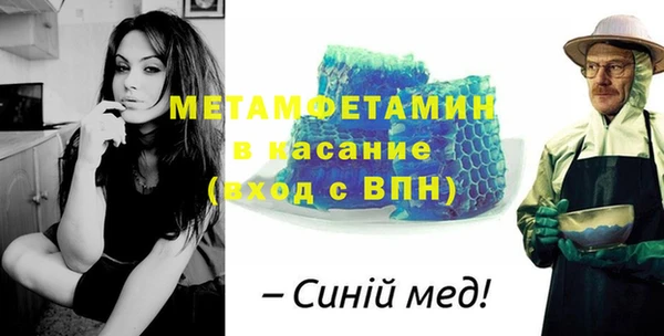 прущие грибы Новосибирск