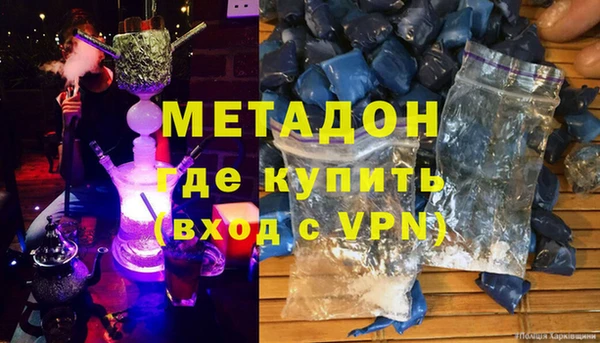 прущие грибы Новосибирск