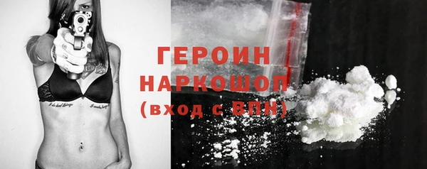 прущие грибы Новосибирск