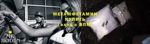 прущие грибы Новосибирск