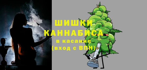 прущие грибы Новосибирск