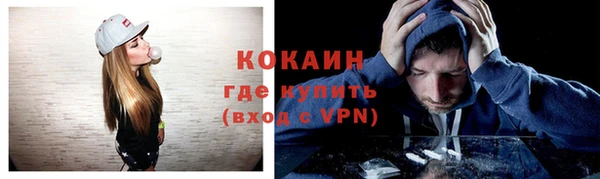 прущие грибы Новосибирск