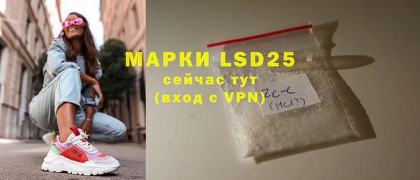 прущие грибы Новосибирск