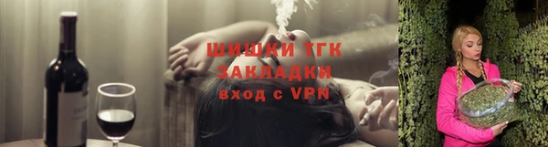 прущие грибы Новосибирск