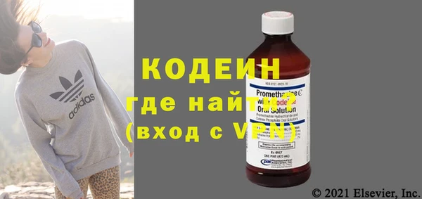 прущие грибы Новосибирск