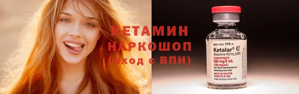 прущие грибы Новосибирск
