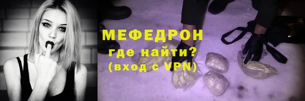 прущие грибы Новосибирск