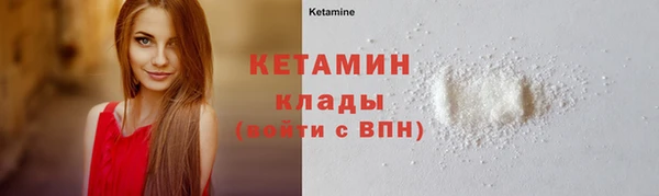 прущие грибы Новосибирск