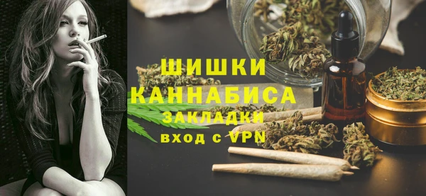 прущие грибы Новосибирск