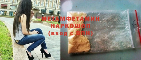 прущие грибы Новосибирск