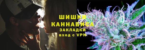 прущие грибы Новосибирск