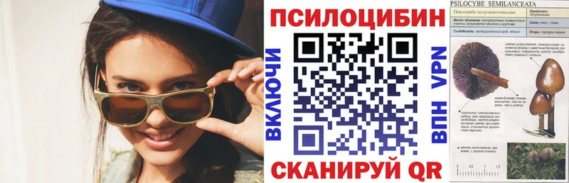 Псилоцибиновые грибы Cubensis цены наркотик Ульяновск