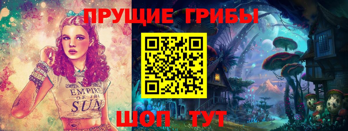 Россия  Галлюциногенные грибы мицелий  Вход с VPN 